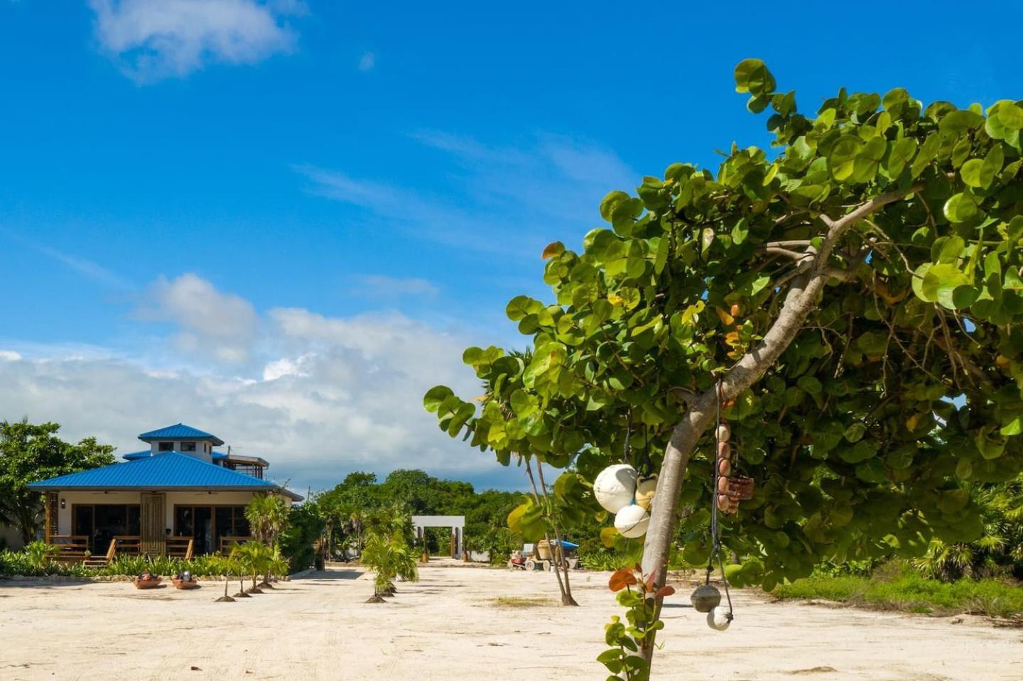Exquisite Oceanfront Private Estate By Alom San Pedro (Ambergris Caye) Εξωτερικό φωτογραφία