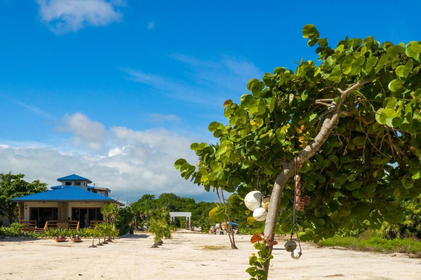 Exquisite Oceanfront Private Estate By Alom San Pedro (Ambergris Caye) Εξωτερικό φωτογραφία